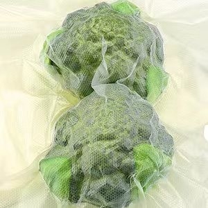 9 Layer Transparent Food vacuum seal freezer bags High Barrier For Freezer Seal A Meal Quart